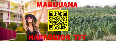 PSILOCYBIN Сланцы