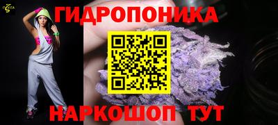 PSILOCYBIN Сланцы